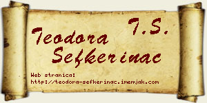 Teodora Sefkerinac vizit kartica